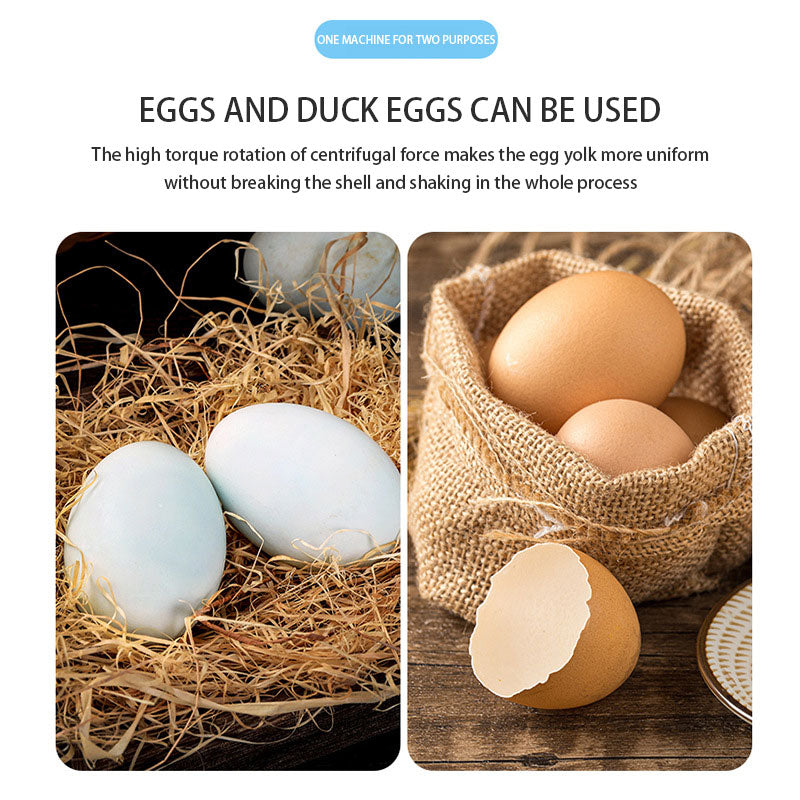 Egg Scrambler Shaker