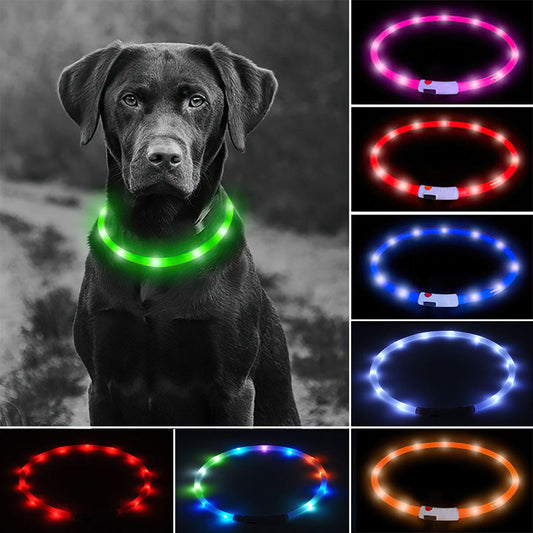 USB Rechargeable Glowing Pet Collar