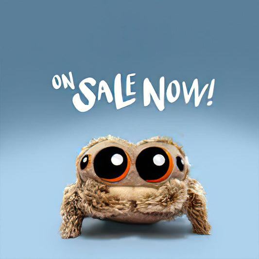 Lucas Little Spider Plush Toy