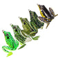 🐠Artificial Ultra-Realistic Frog Fishing Lure
