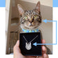 Your Pet As A Necklace