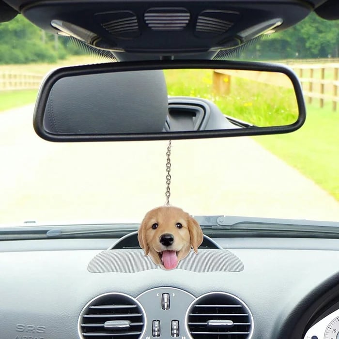 🐶🐱Personalized Pet Photo Decoration