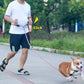 🔥Hands Free Dog Leashes