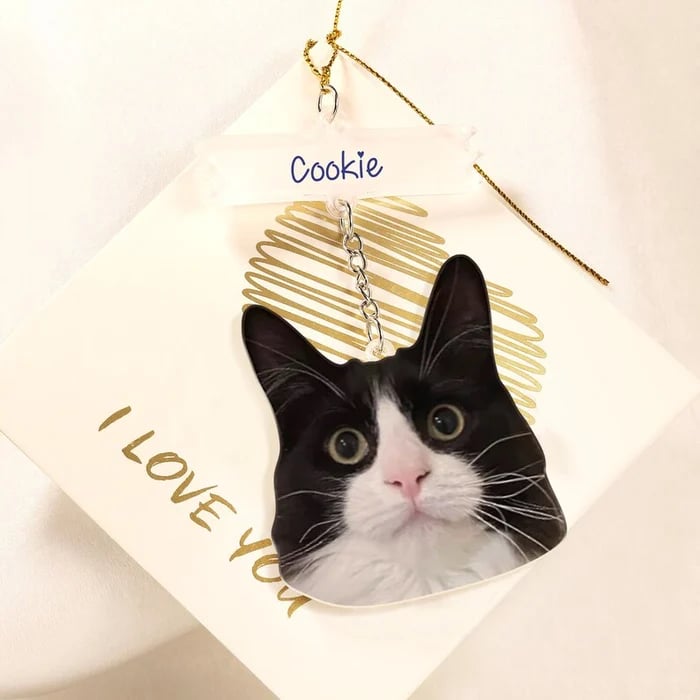🐶🐱Personalized Pet Photo Decoration