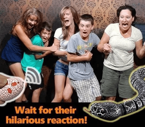 High Imitation Snake Animal Toy Funny Prank Toy