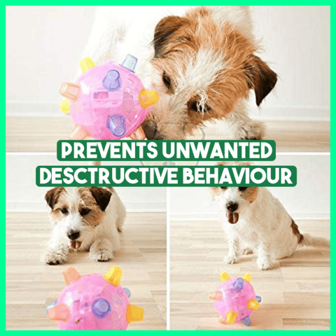 💥Hot Sale💥Jumping Activation Ball for Dogs🐶