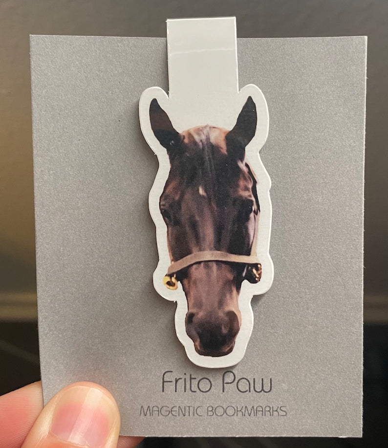 Personalized Bookmark | Custom Bookmark | Custom Pet Photo Gift | Dog Mom Present | Personalized Dog Magnetic Bookmark