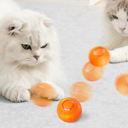 Pet Automatic Bouncing Ball