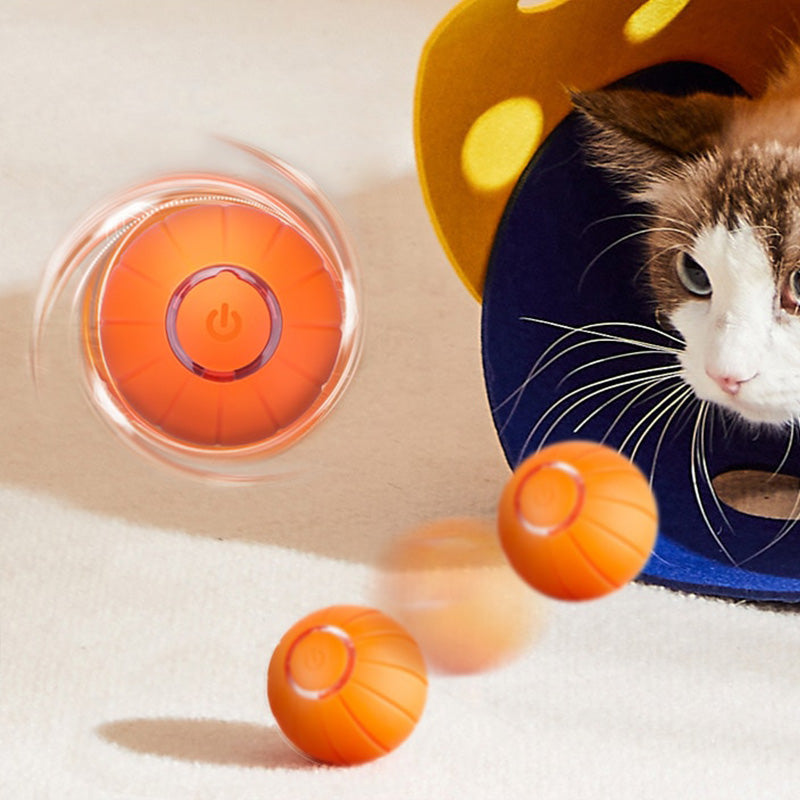 Pet Automatic Bouncing Ball